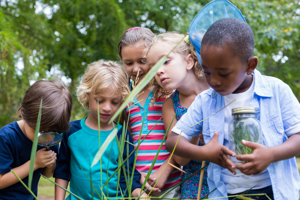 Curso intensivo niños conciencia activa en palma mallorca