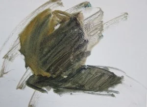 Rapidly apply loose, thin shadow shapes