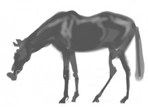 Silhouette – Dark against light (Done on my iPad using Brushes app.)