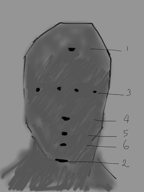 Added shadow shape and eliminated center measuring mark. Placed (a) brow landmark; (b) eye landmarks; (c) bottom nose landmark; (d) lip pusher landmark; (e) dental arch landmark (f) chin bottom landmark