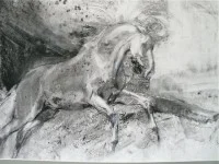 4.  Expression In Charcoal : Capturing Horse At Speed Demo
