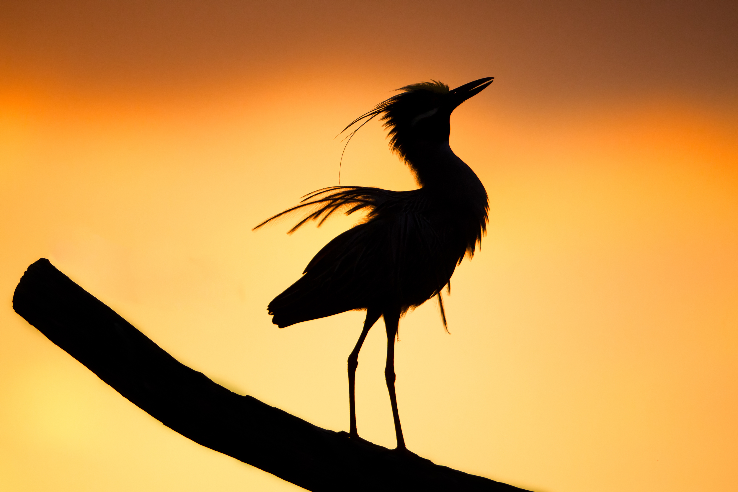 _LB_8532-Edit-Edit-Edit.jpg