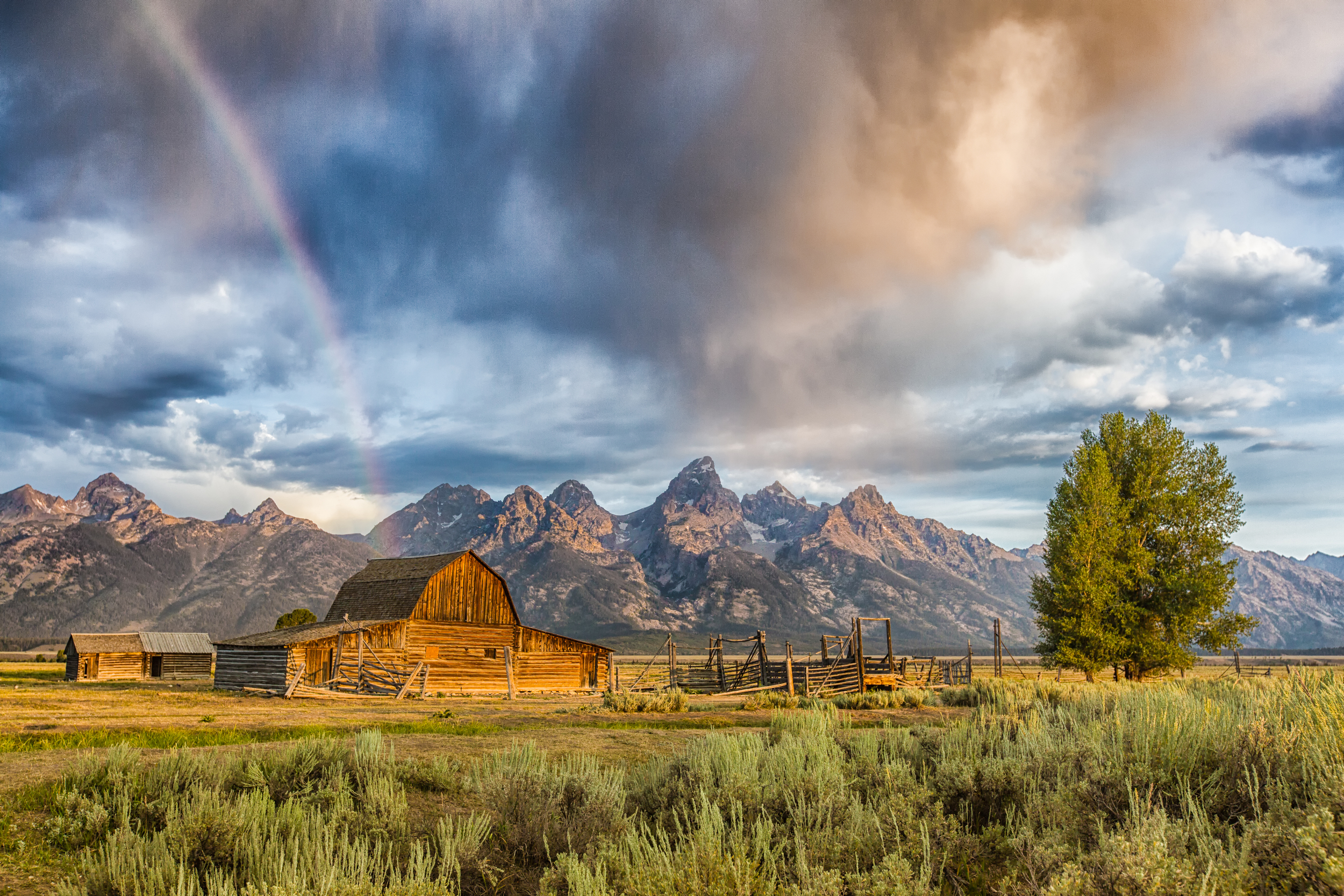 _LB_0443-Edit-Edit.jpg