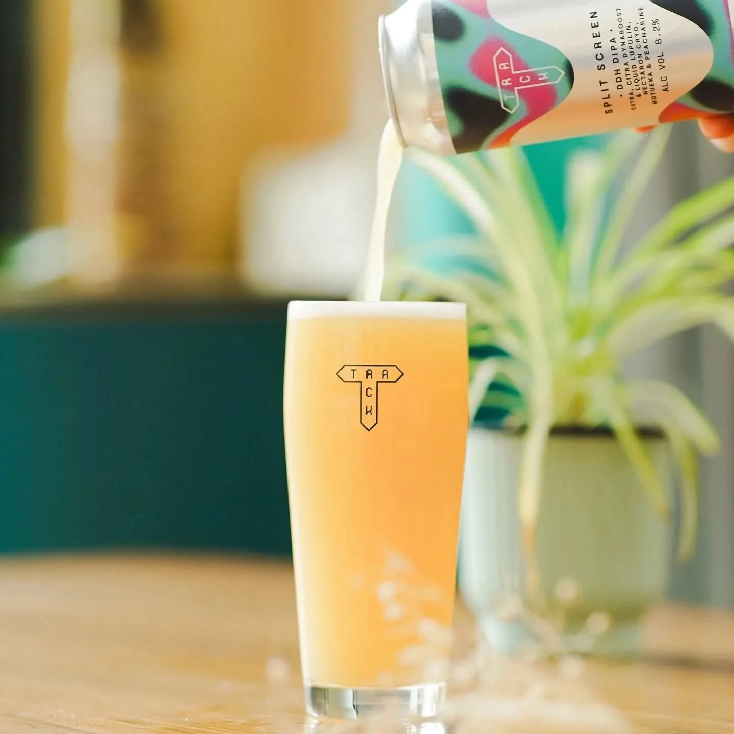 🍺 BREWERY ANNOUNCEMENT: TRACK BREWING 🍺

Sam Dyson was inspired to launch @trackbrewingco after a cycling odyssey which started in 2008 and took him all over the world. 

Peddling through 25 countries on five continents, covering a staggering 35,00