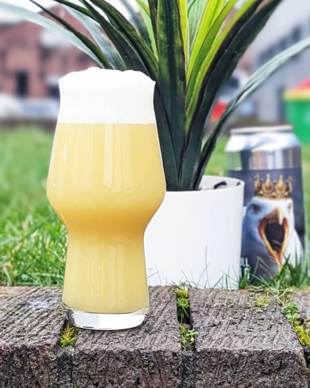 🍺 BREWERY ANNOUNCEMENT: AZVEX BREWING 🍺

Best known for their sumptuous double IPAs, thick fruited sours and delectable imperial stouts - @azvexbrewing was founded in 2020 by Adam Henderson (formerly of Neon Raptor). 

Azvex are now widely regarded