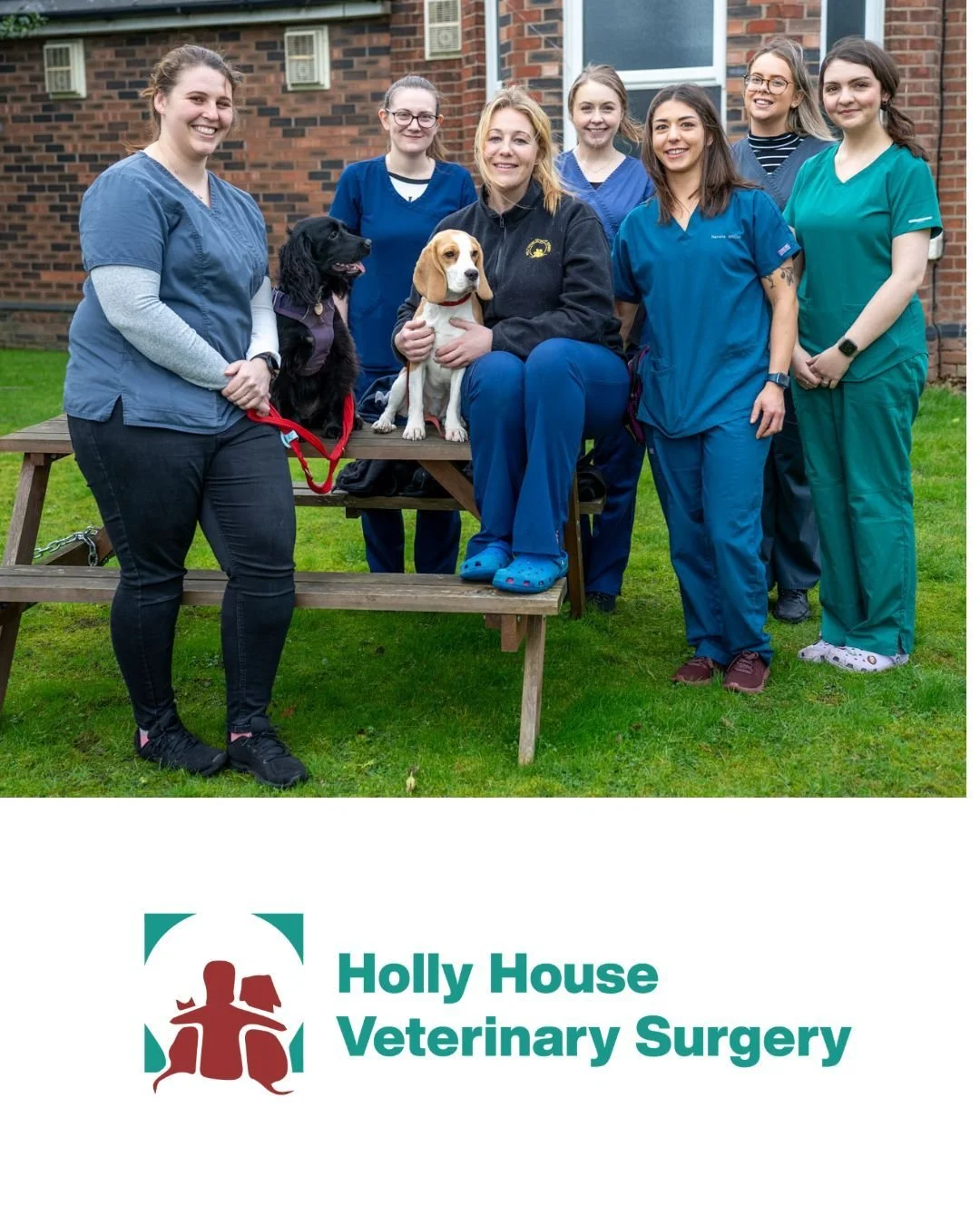 We've please to have @vetshollyhouse on board again. This year they have generously agreed to sponsor the wristbands. 
They have been caring for local pets for more than 30 years at their practice. From nail trimming, vaccinations and neutering to ch