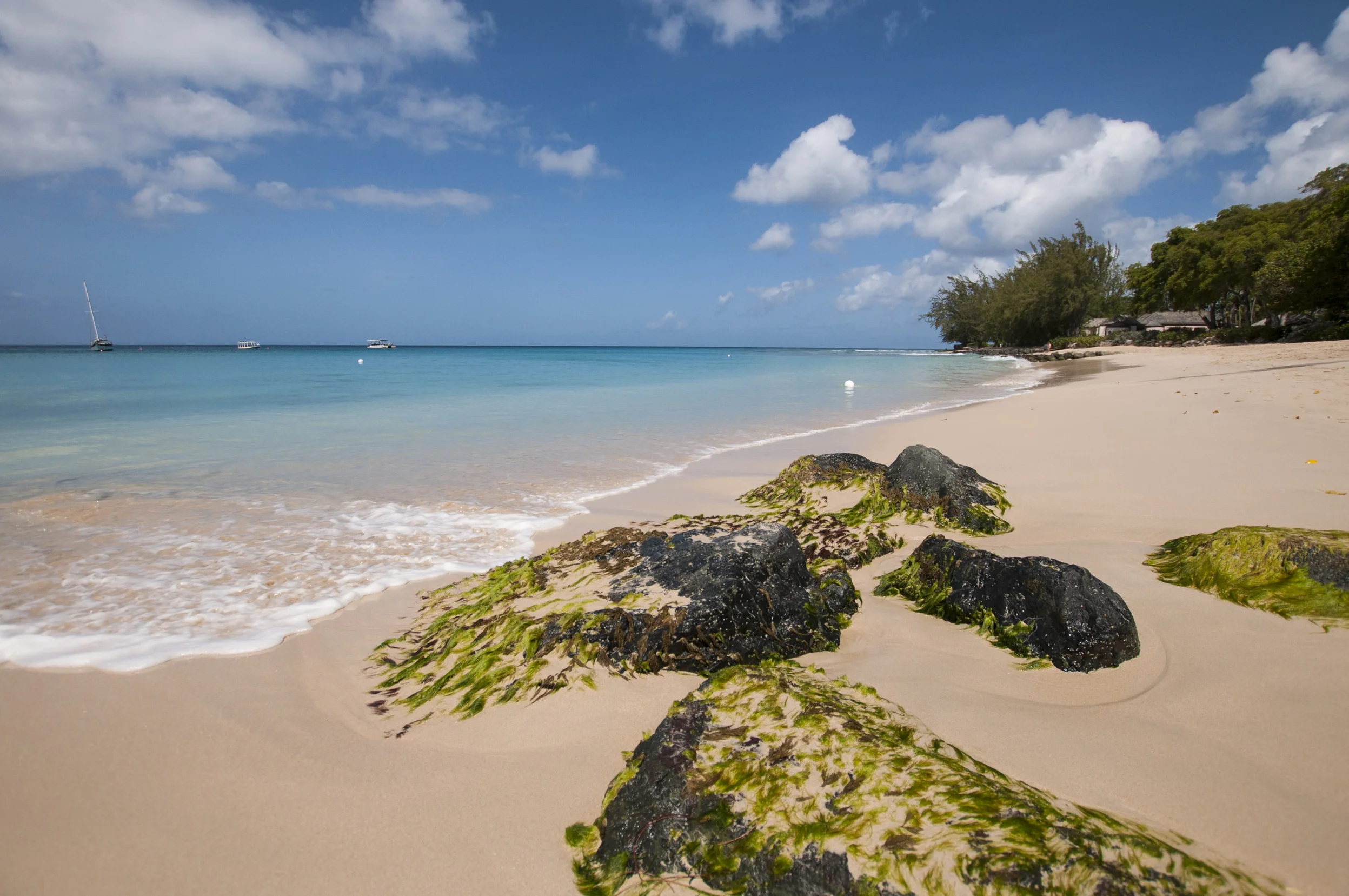 Barbados16-68.jpg