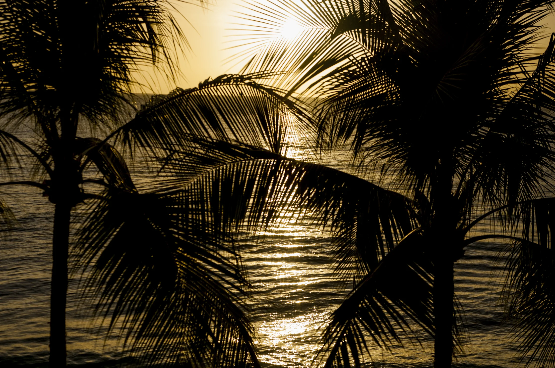 Barbados16-58.jpg