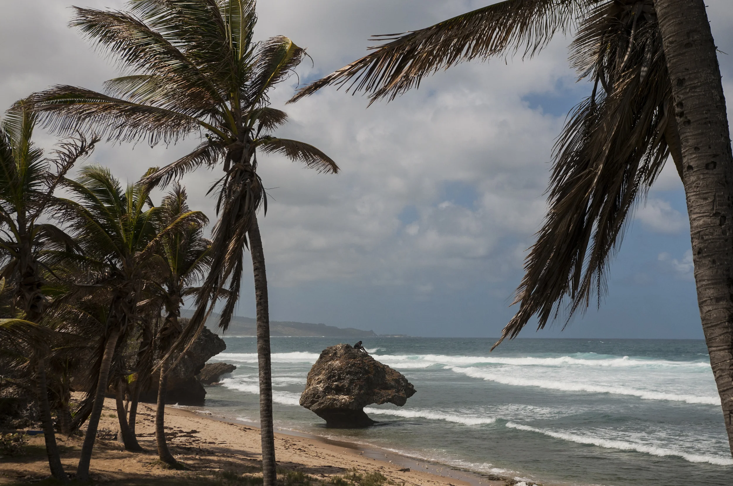 Barbados16-107.jpg