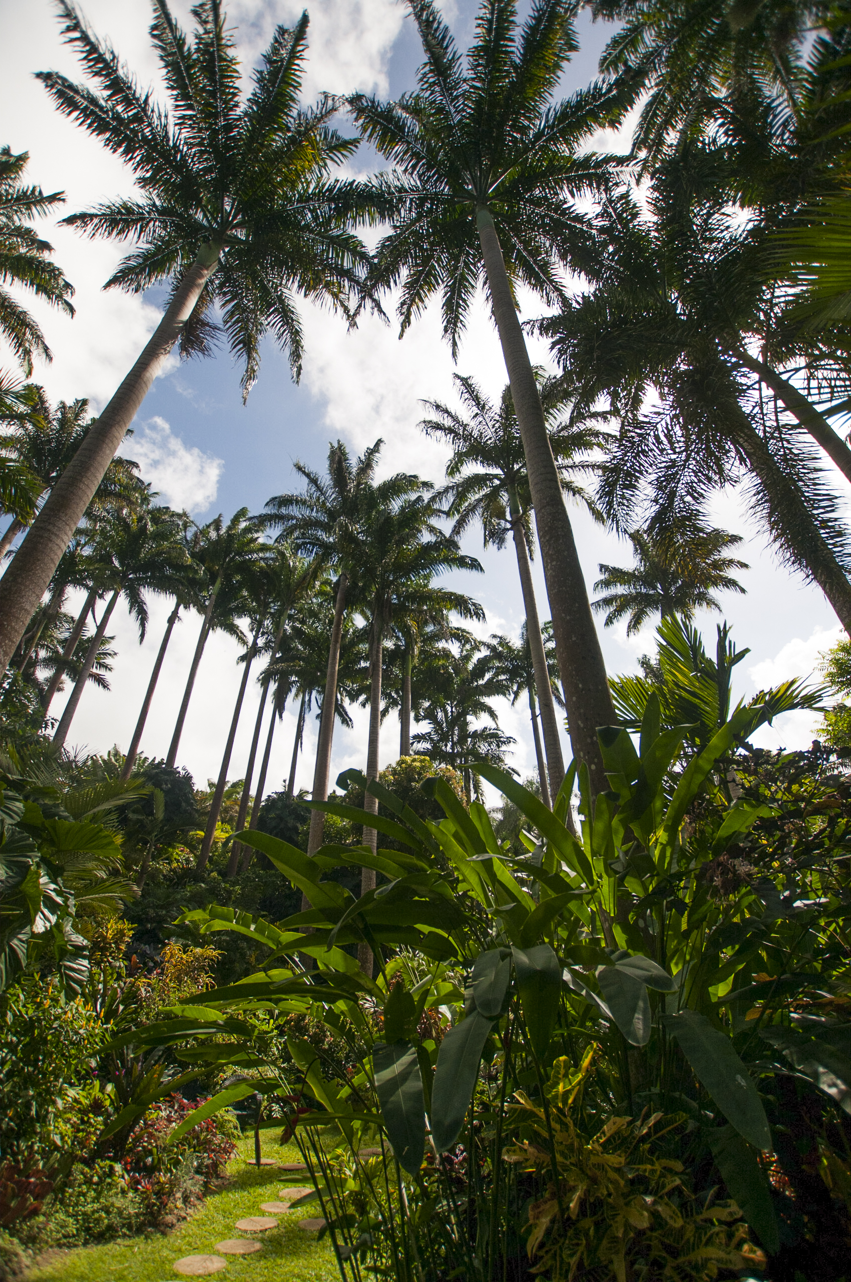 Barbados16-131.jpg