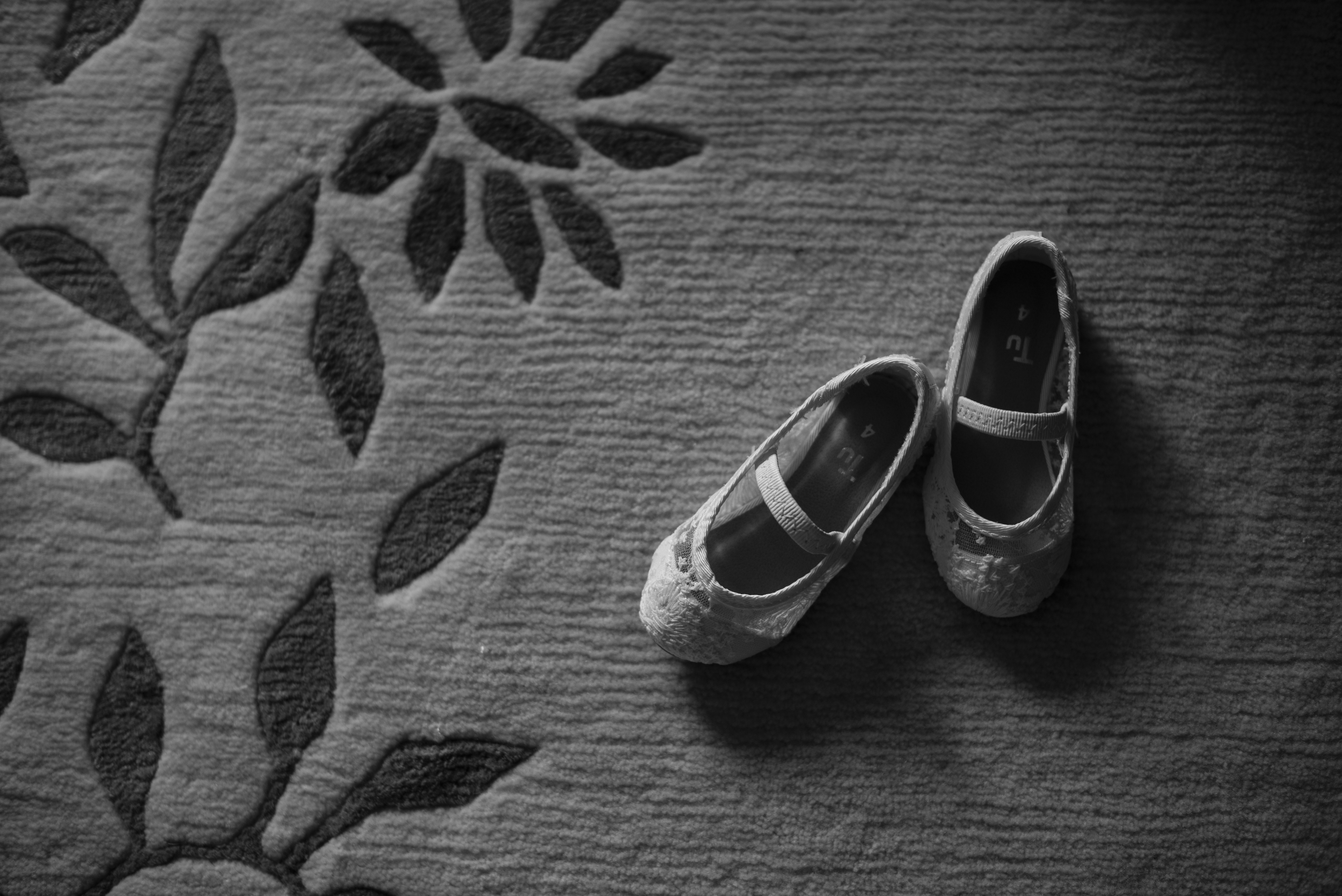 L&T-HendraBarnsWedding-201.jpg