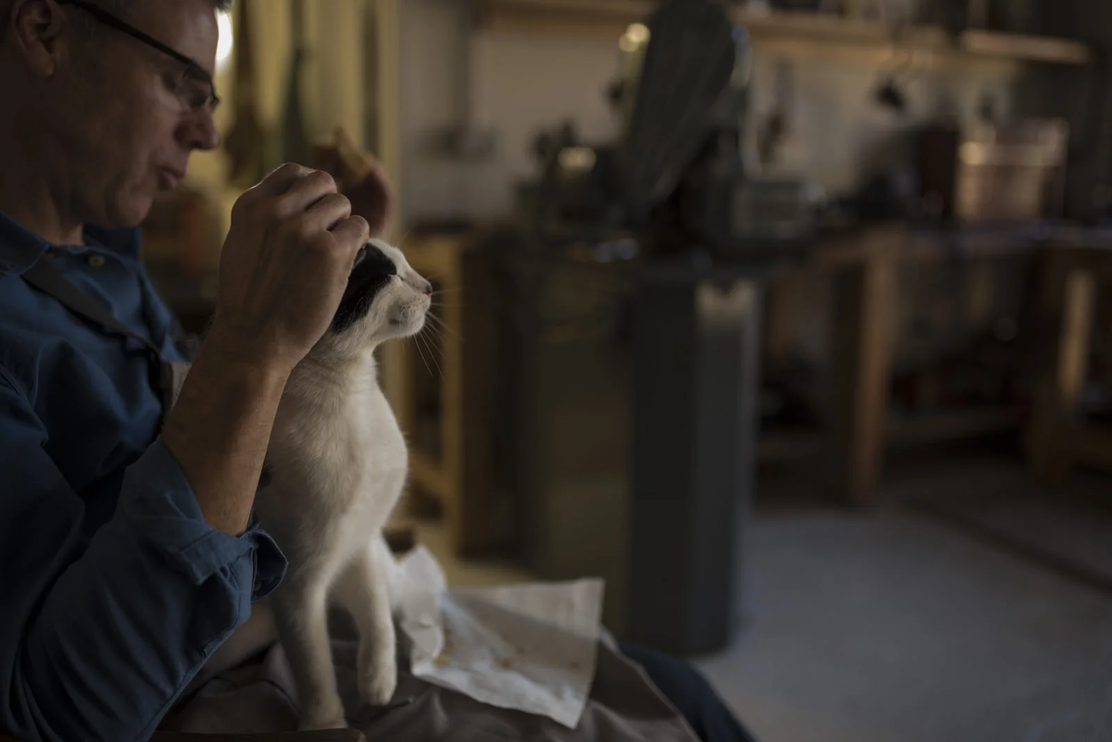 StockmakerCat-6.jpg