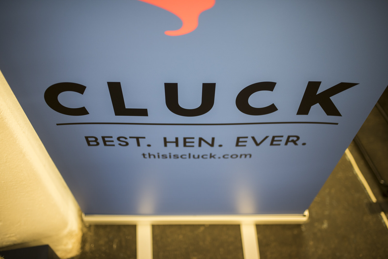 Cluck-44.jpg