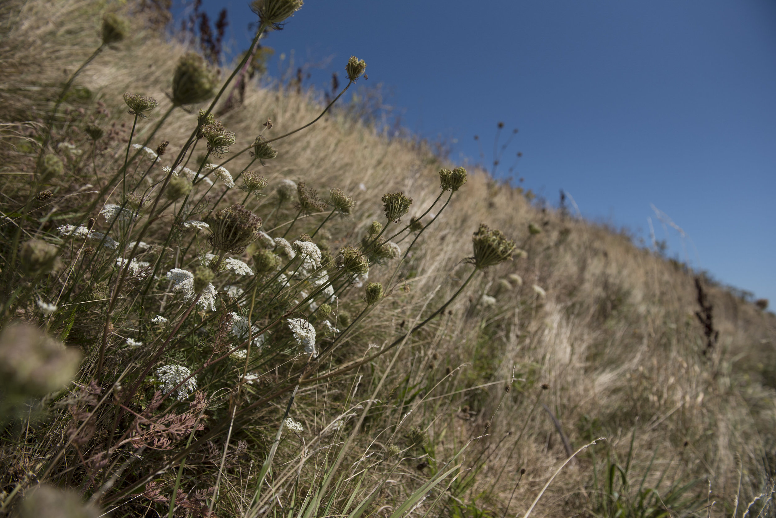 Selby-Hengistbury Head-210.jpg