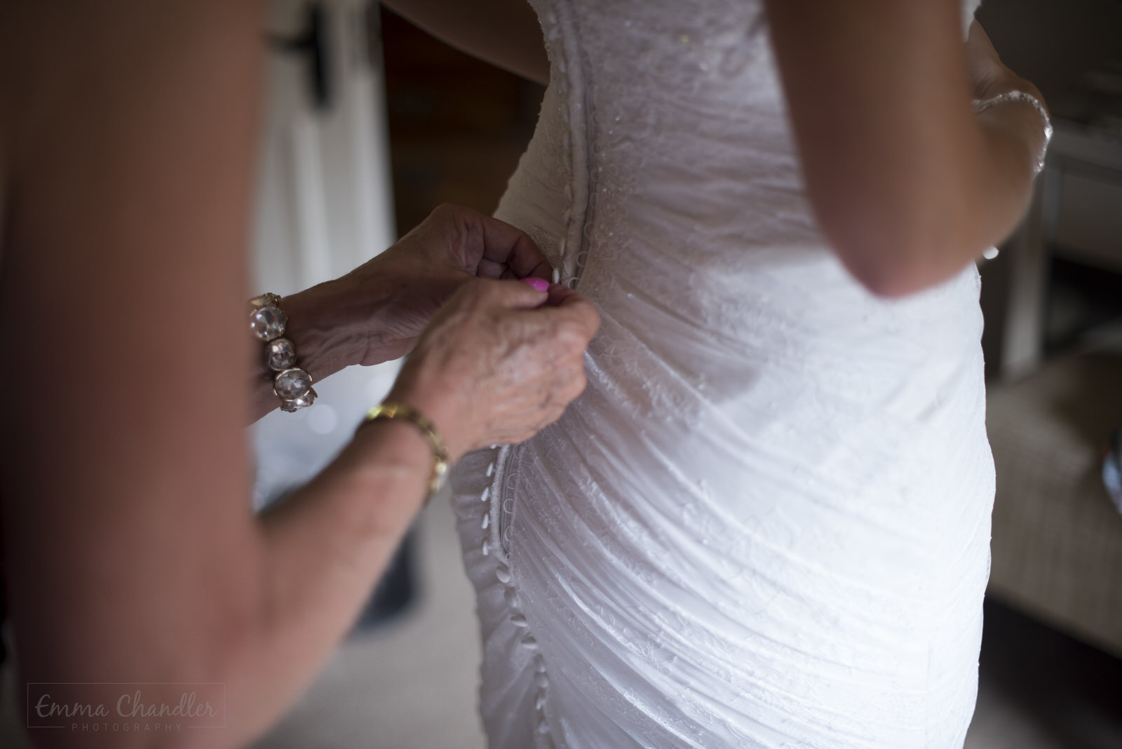 S&T-The Dress-2.jpg
