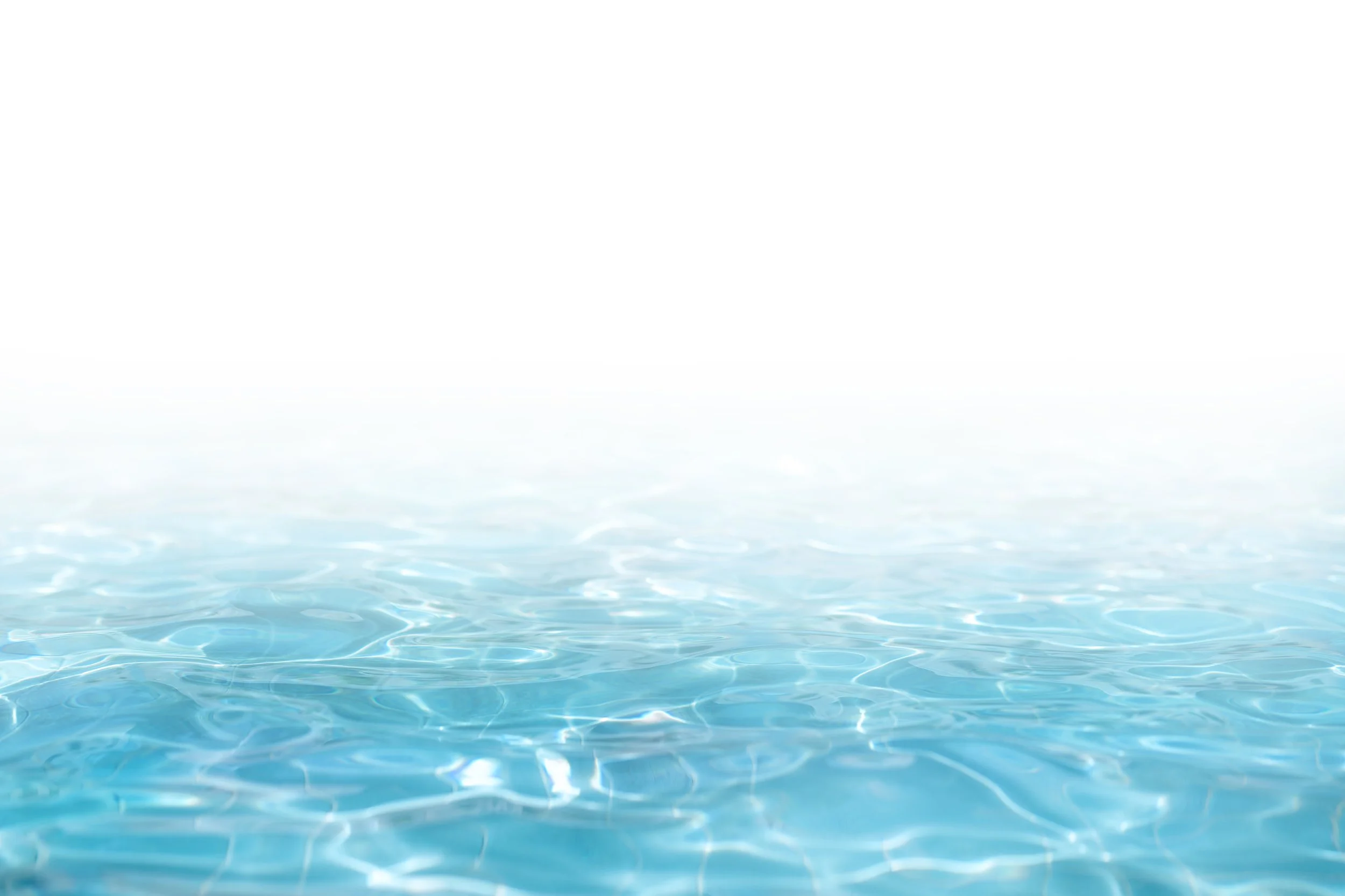 AdobeStock_272302795.jpeg