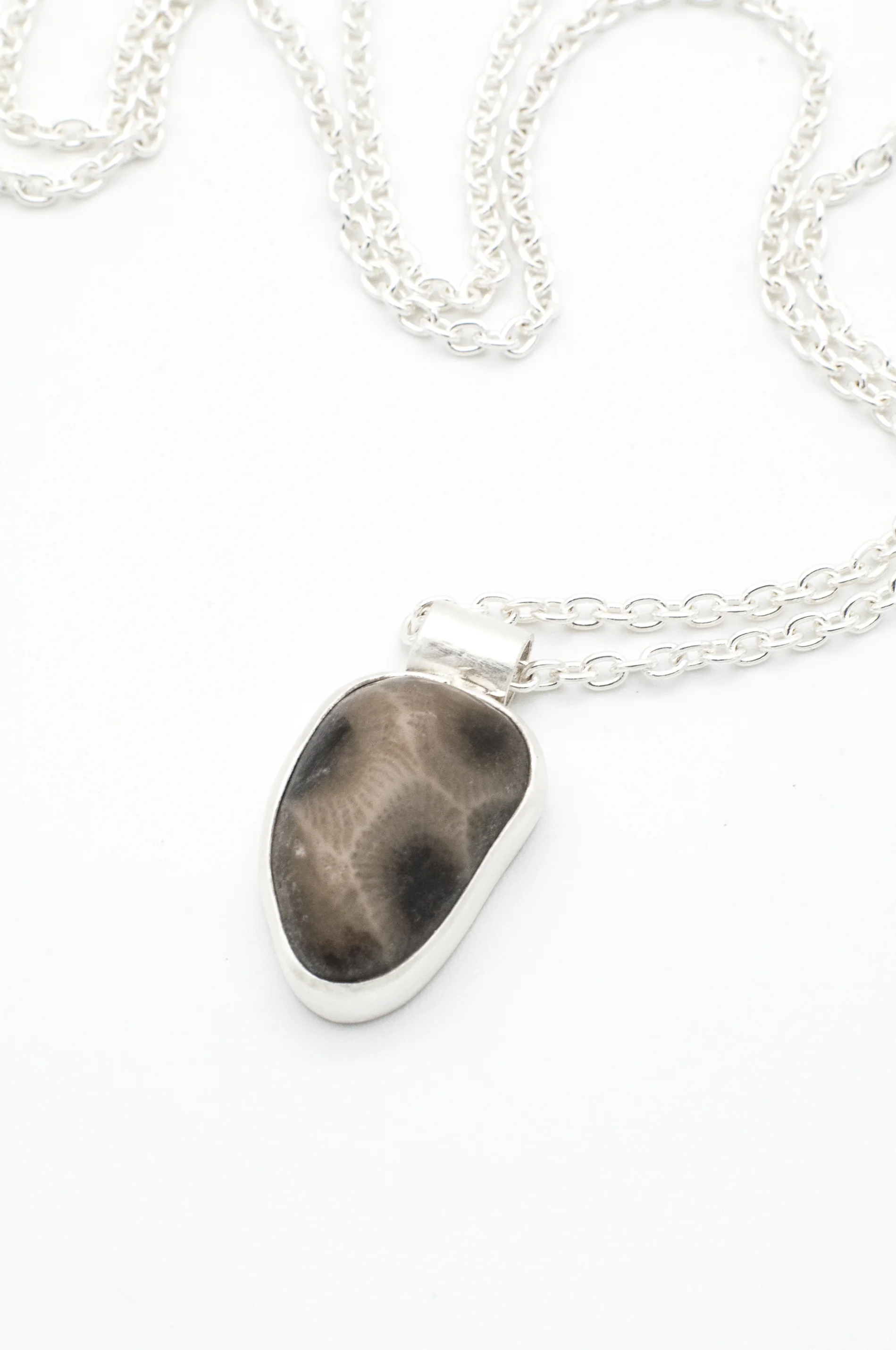 Lake Michigan found Petoskey Stone