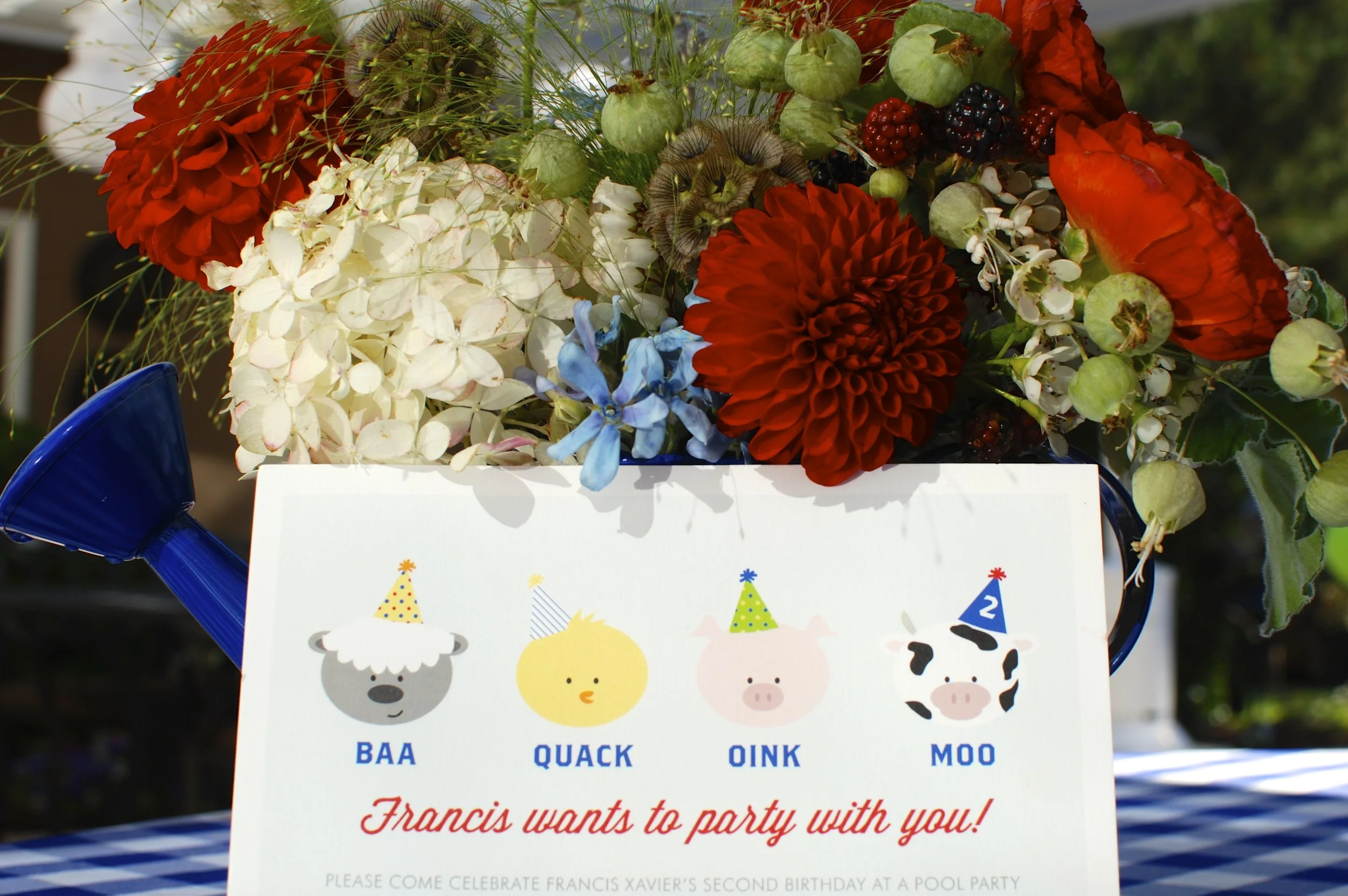 Farm Birthday for Francis