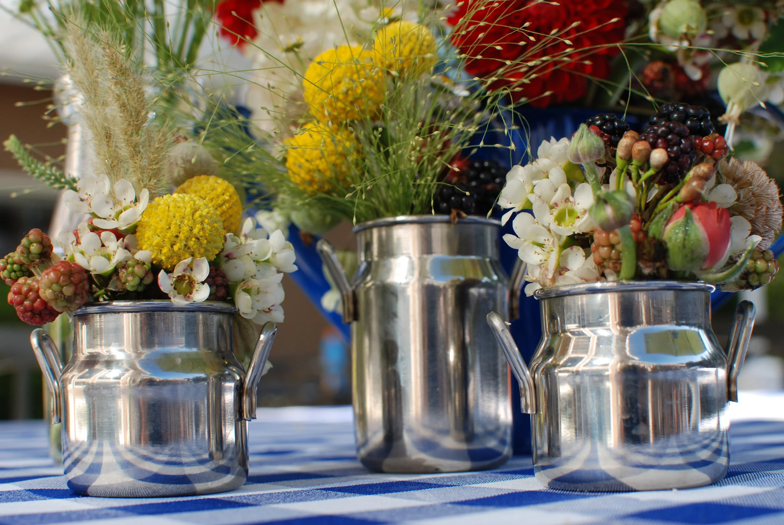 2014-08-18 04.59.48.jpg