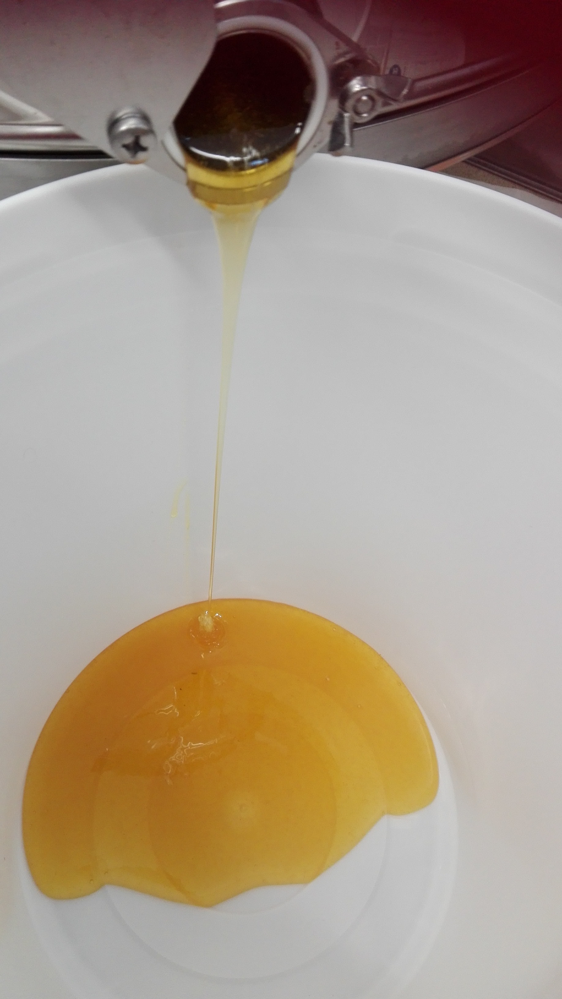 GIALLO TARASSACO! IL PRIMO MIELE STAGIONE 2016.....CI SIAMOOOOOOO