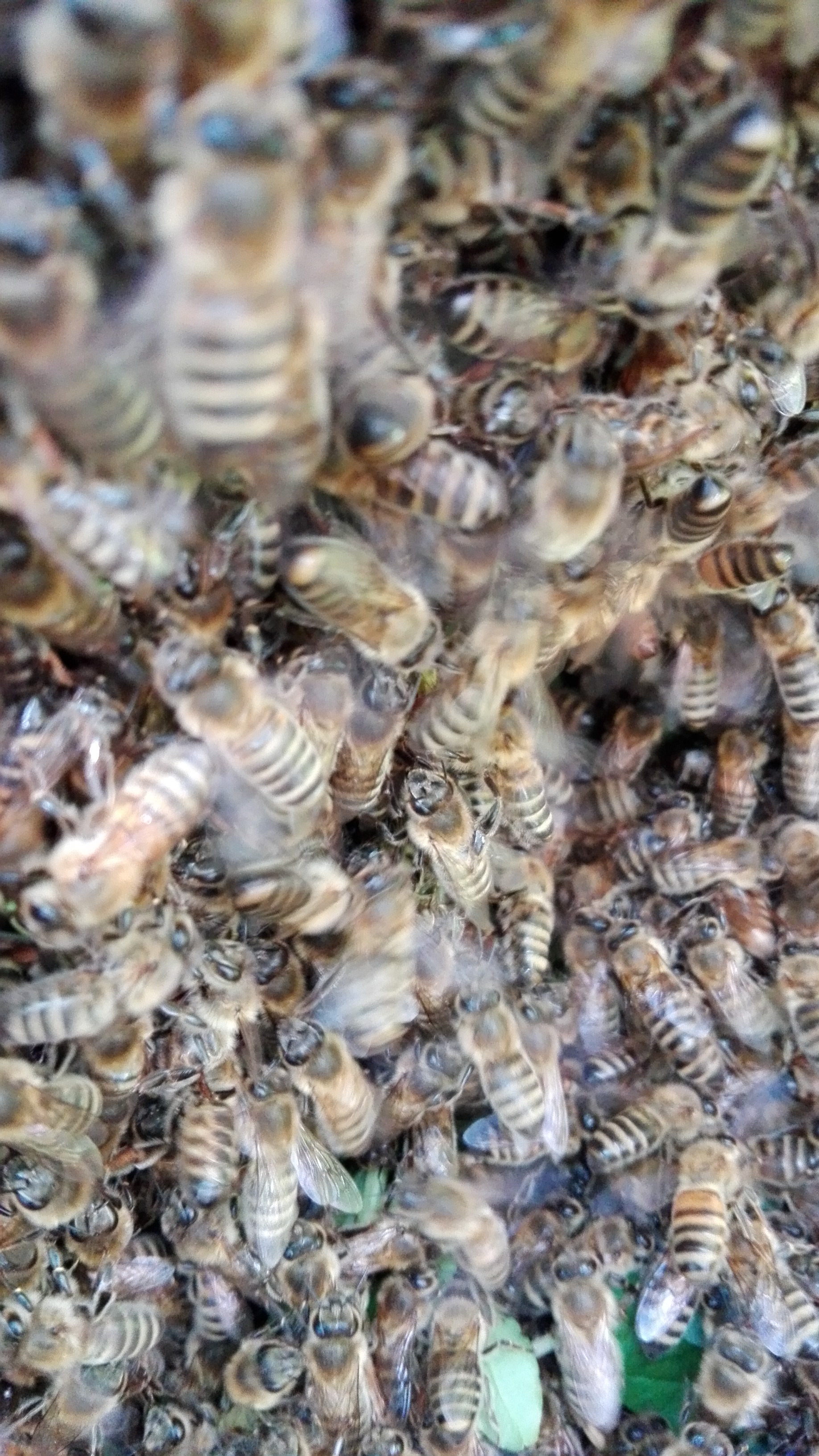 IL SOLITO AFFOLLAMENTO