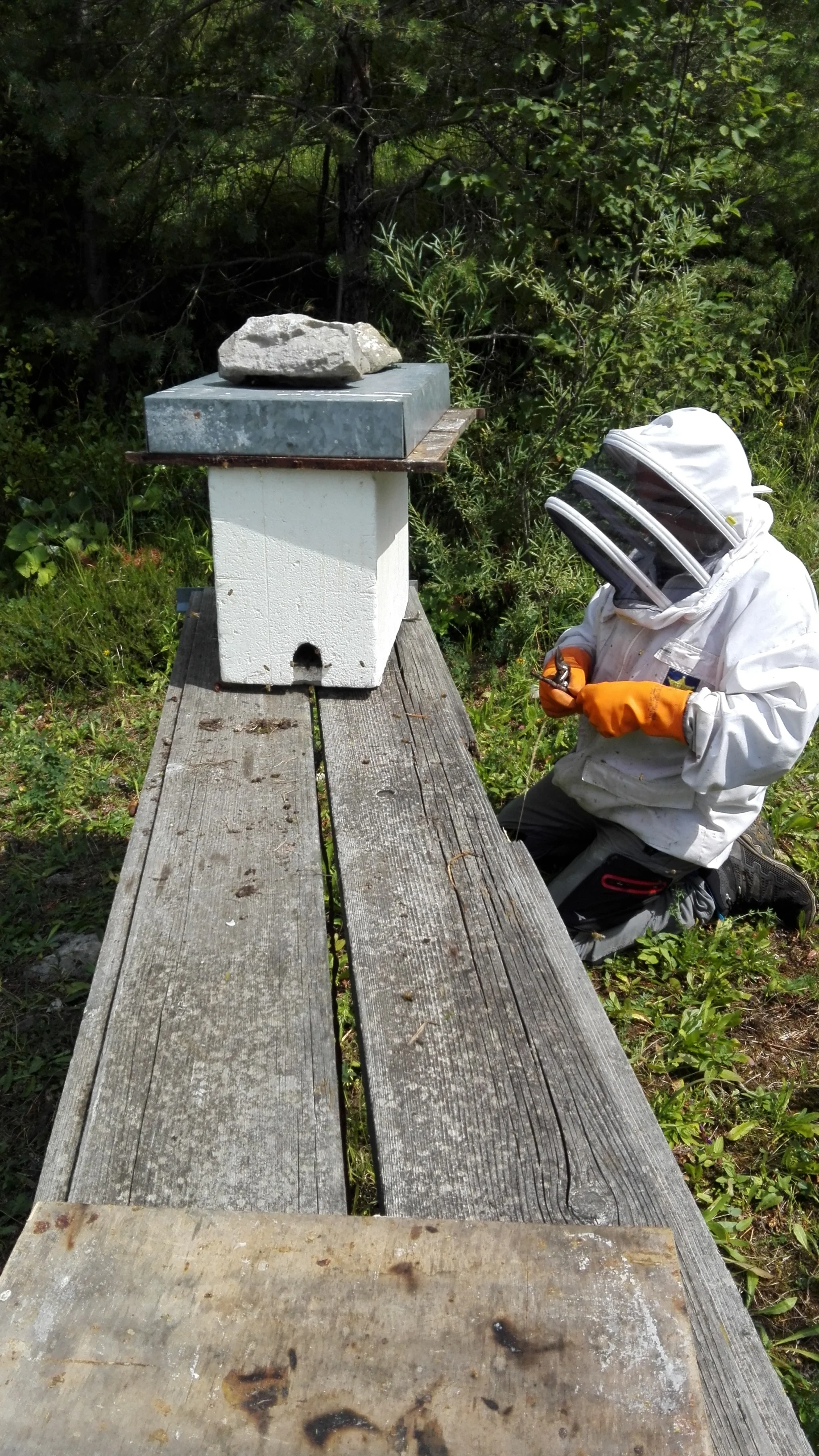 SCIAME RECUPERATO! YEAHHHHHH