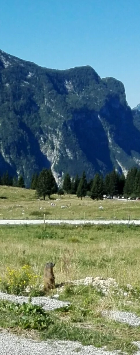 LA MARMOTTA