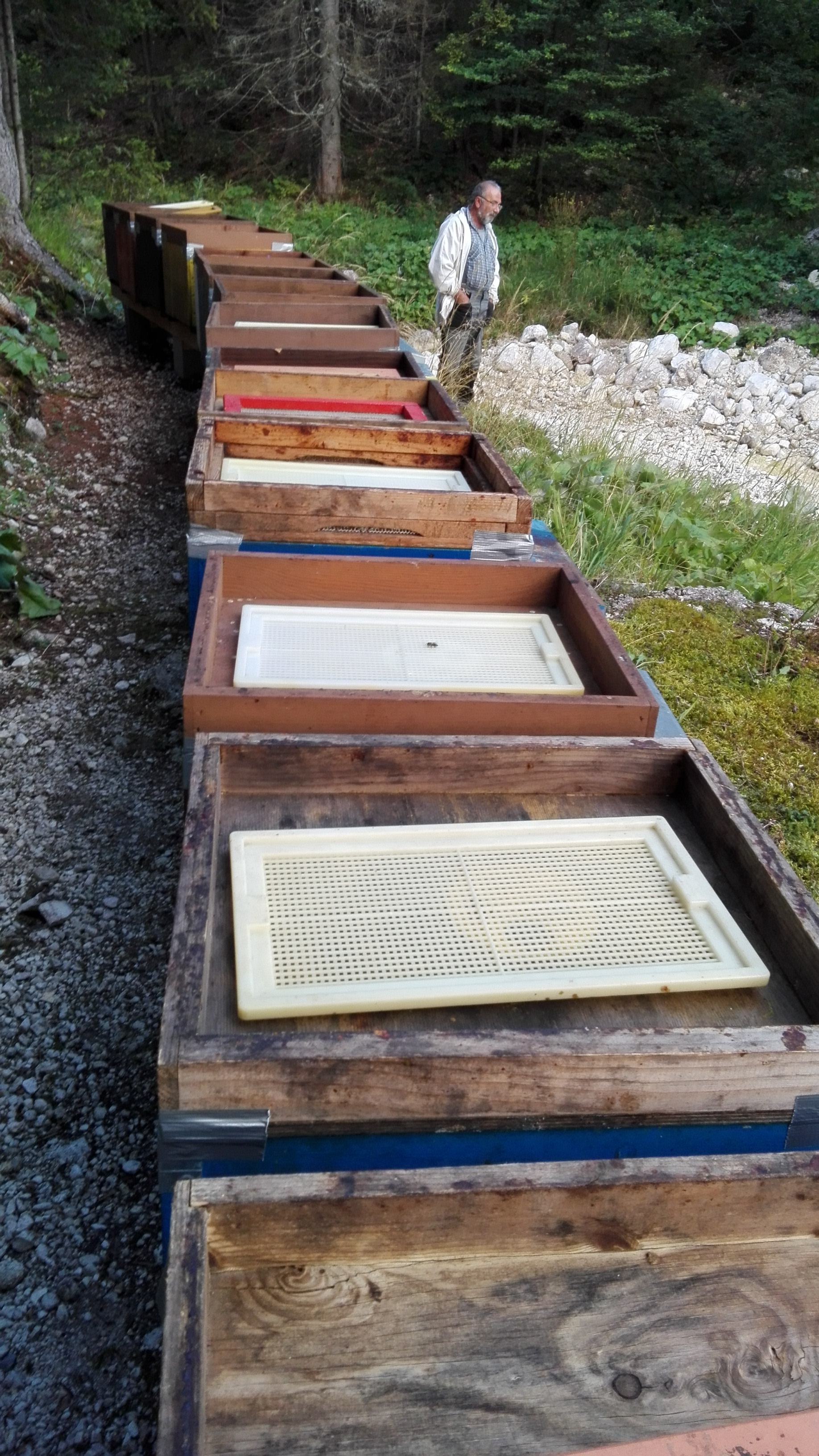 PORTICINE DI CHIUSURA PREPARATE