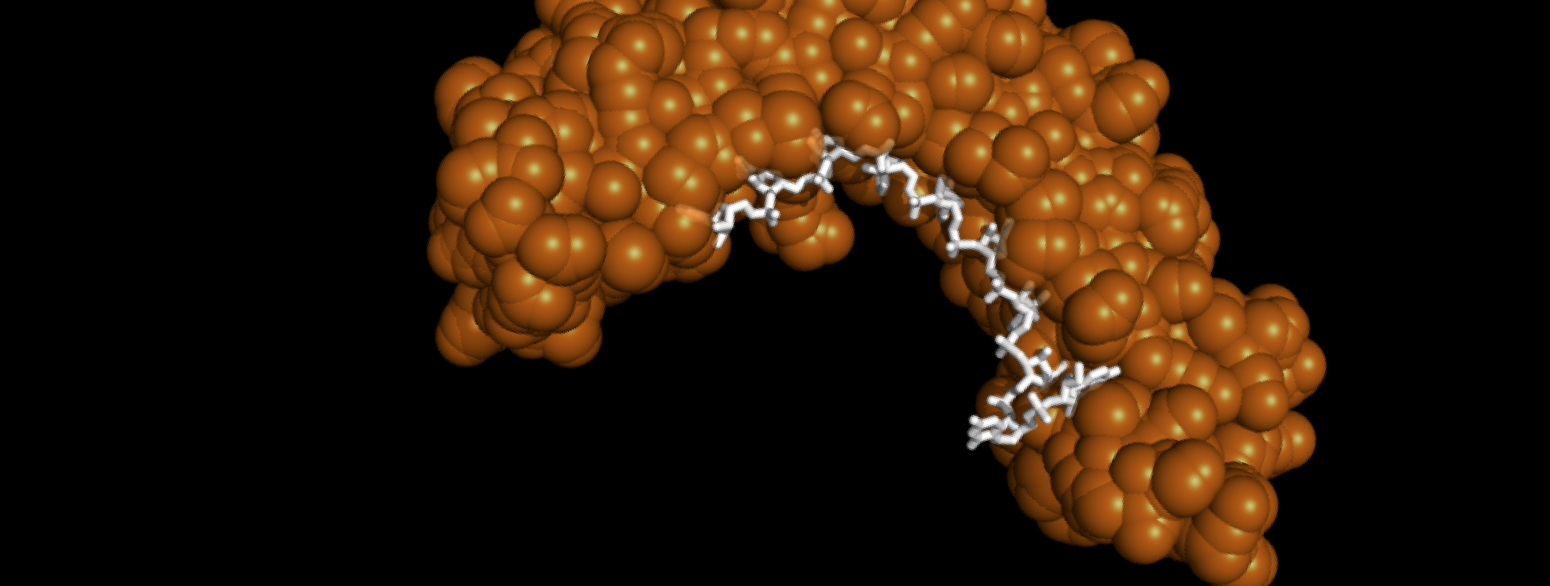 Screen Shot 2015-12-14 at 1.50.26 PM.png