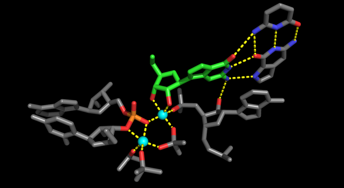 RNA Catalysis — Herschlag Lab