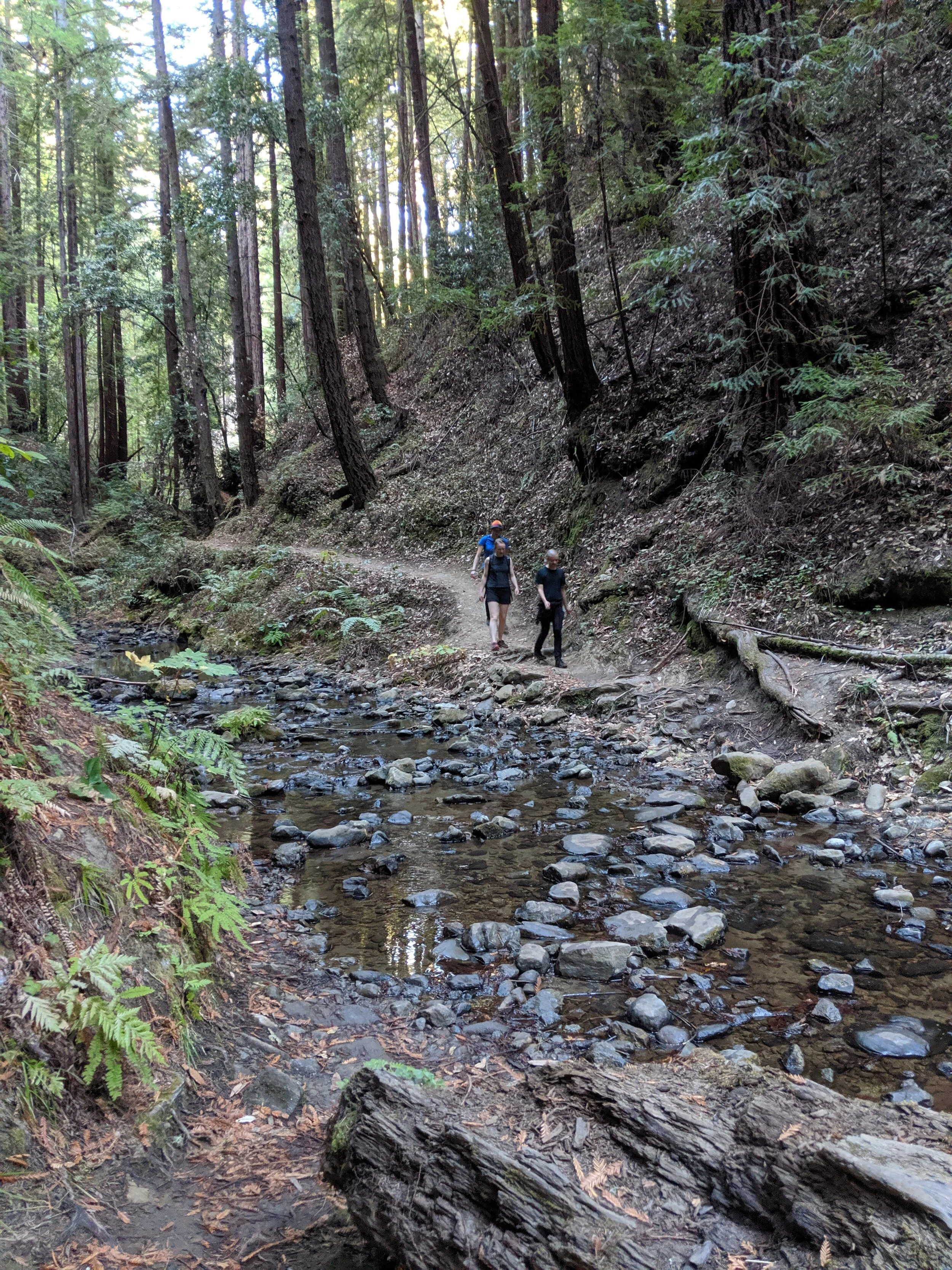 MVIMG_20191015_164644.jpg
