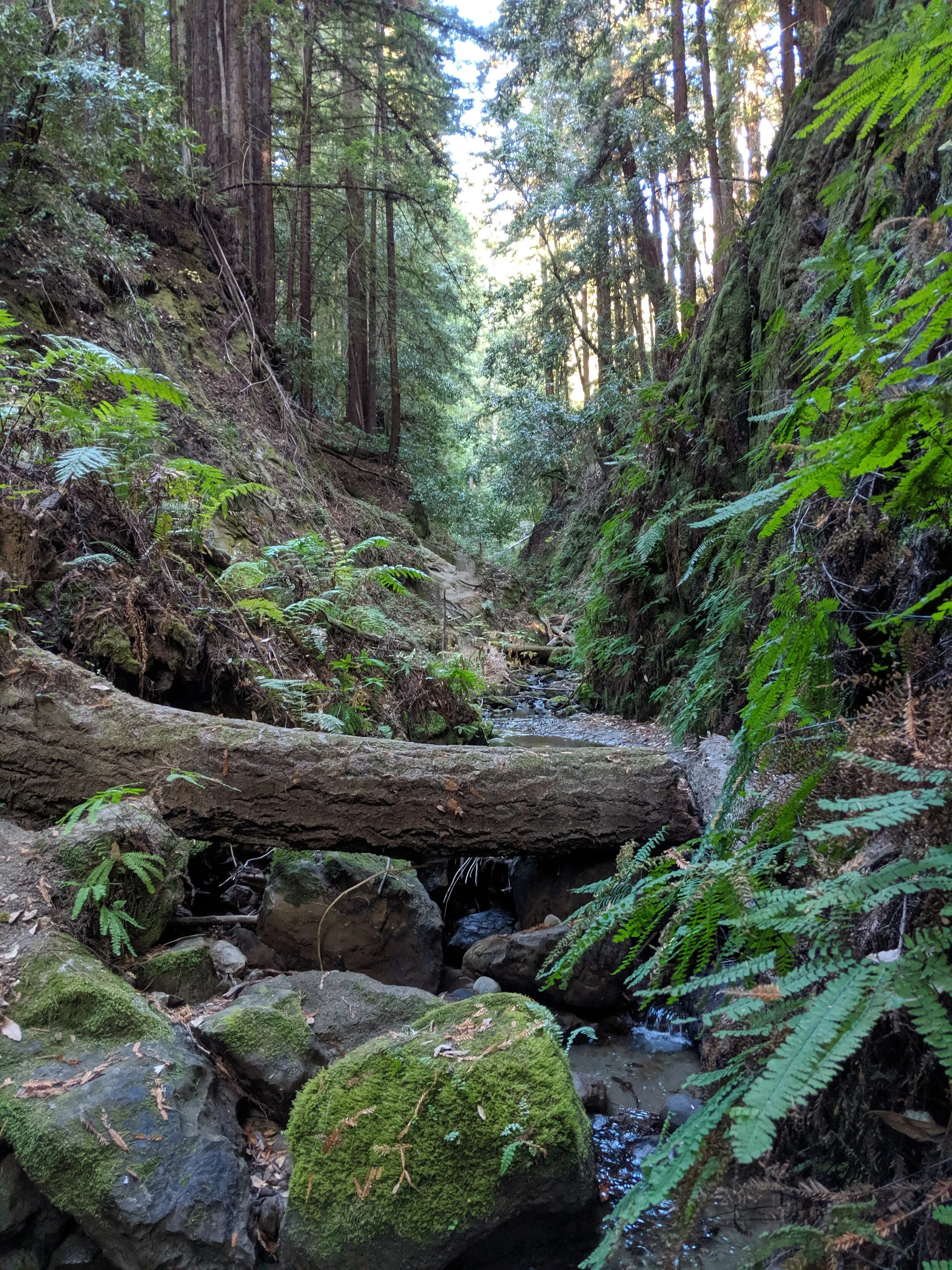 MVIMG_20191015_161655.jpg