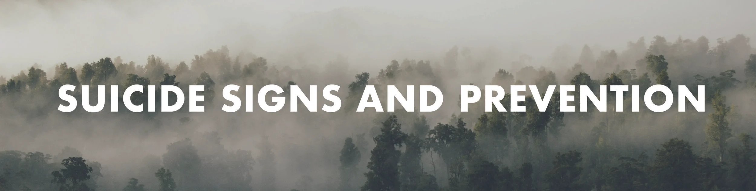suicide signs header.jpg