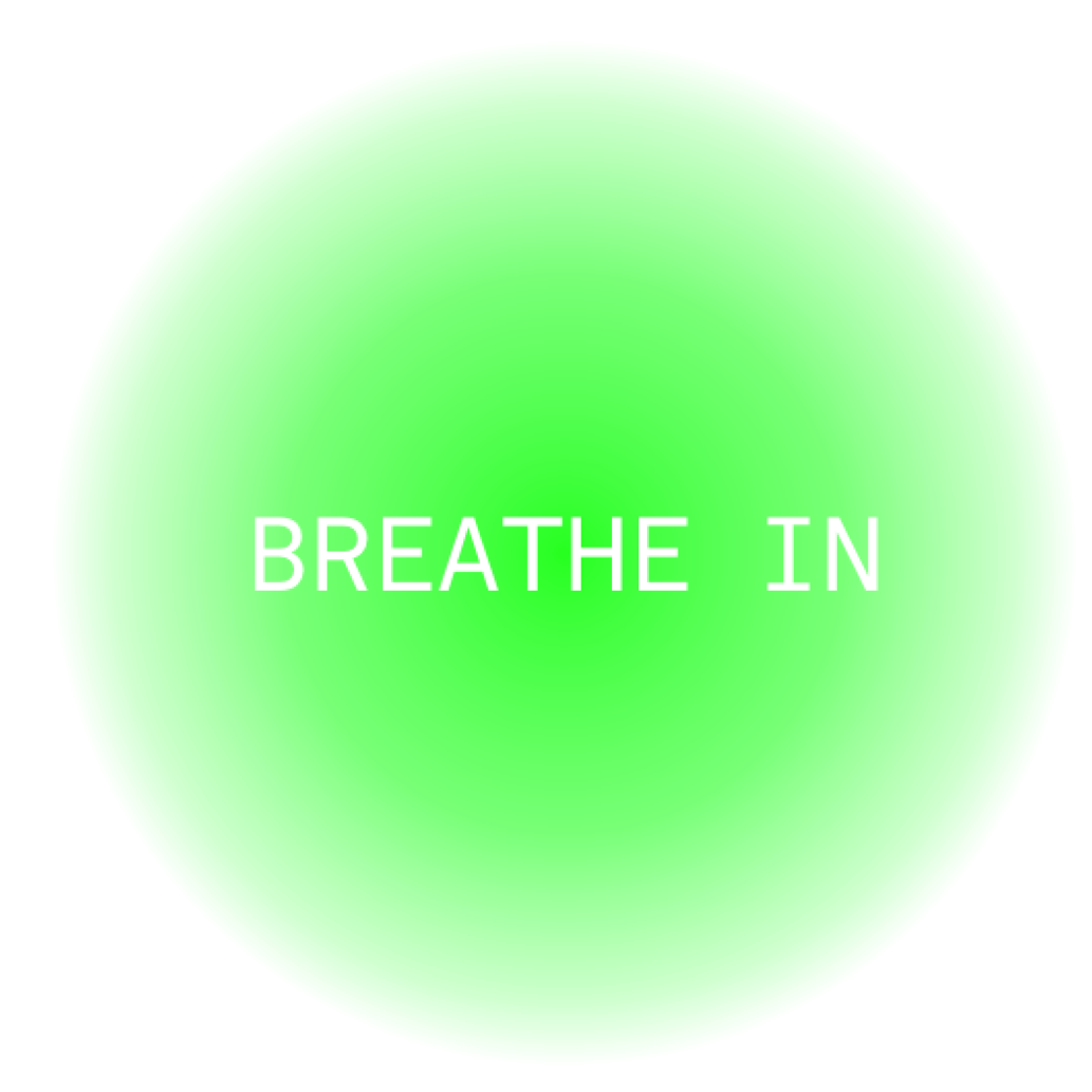 BREATHING SIMULATOR