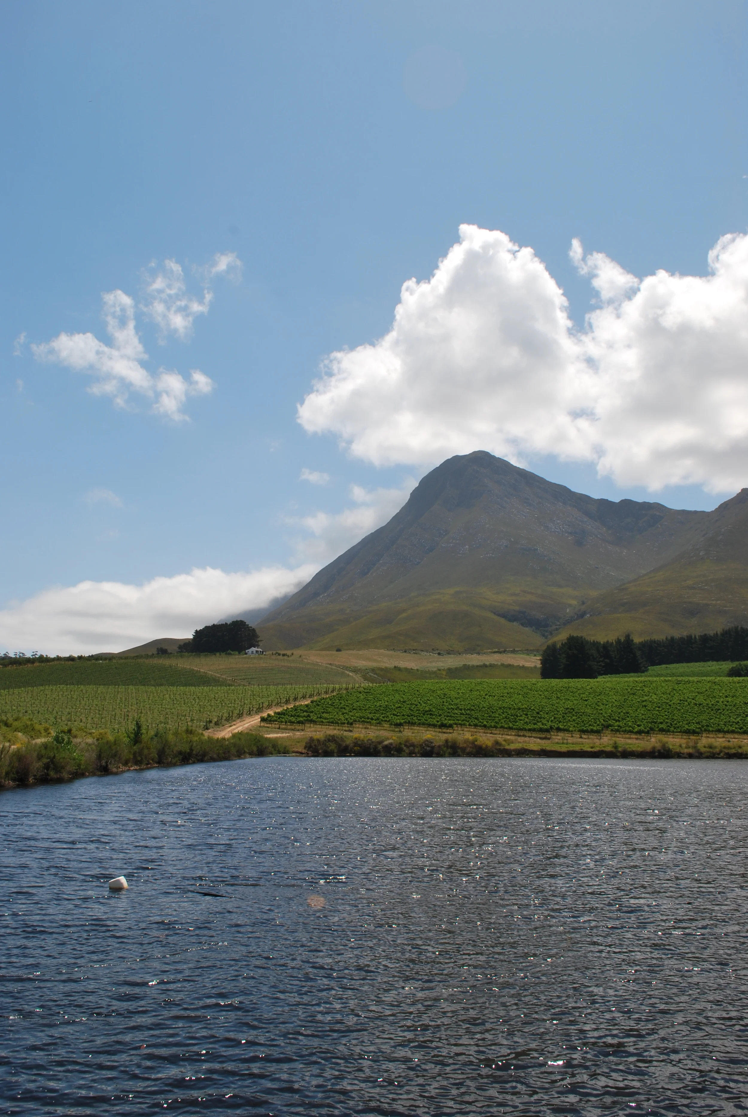 Hermanus, Western Cape, South Africa