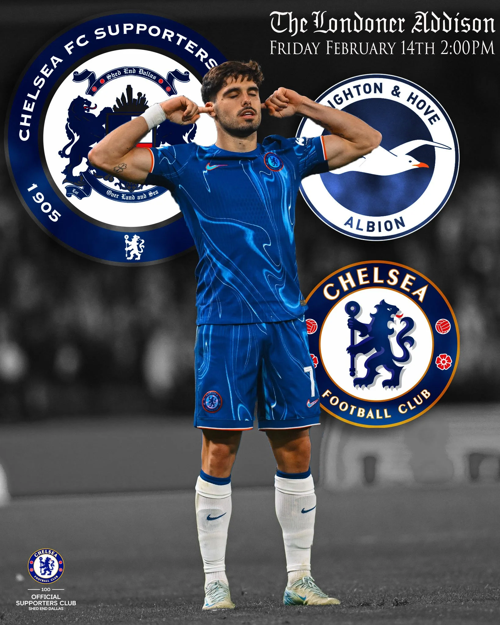 Brighton & Hove Albion FC vs Chelsea FC - Match Day #25