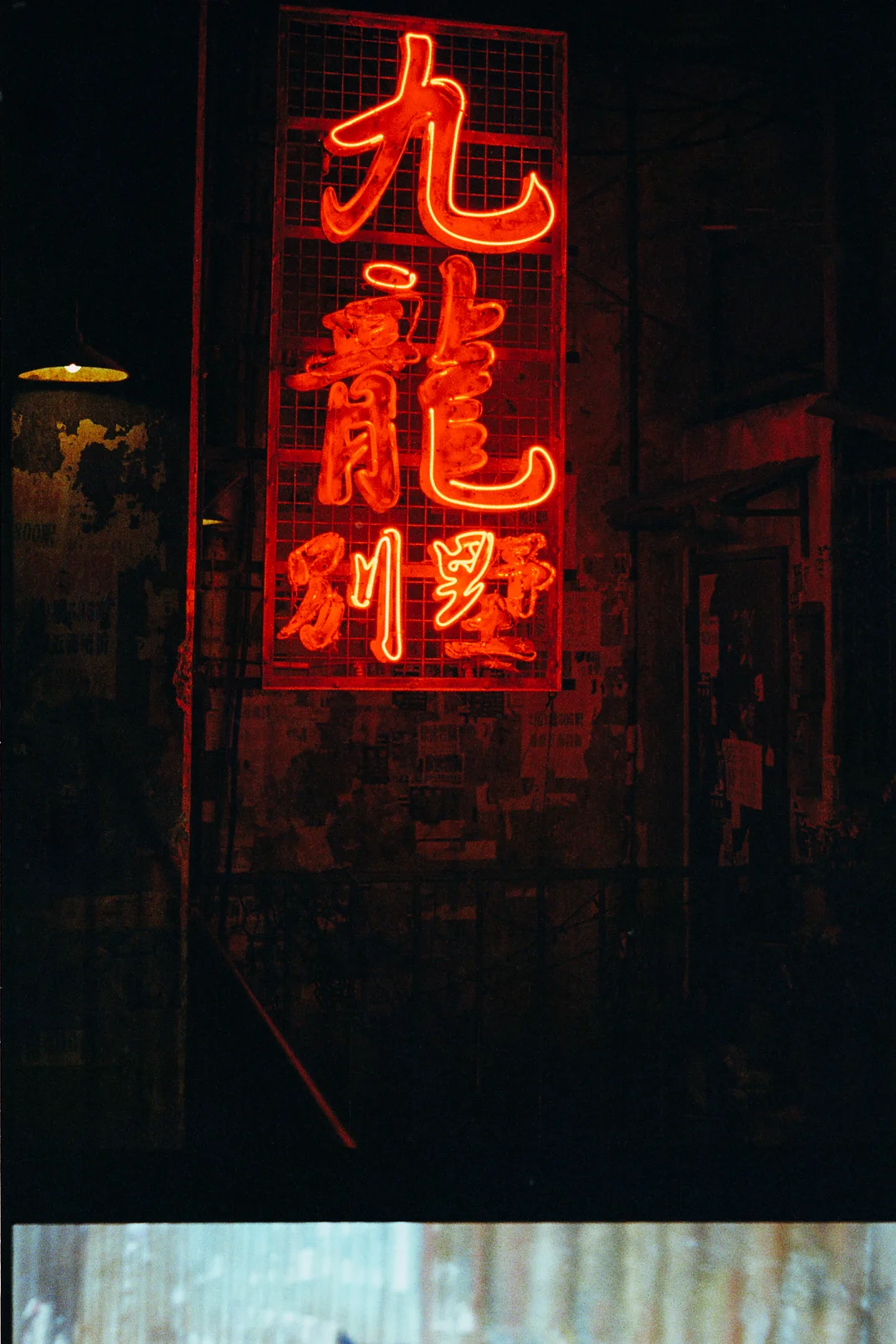 img272.jpg