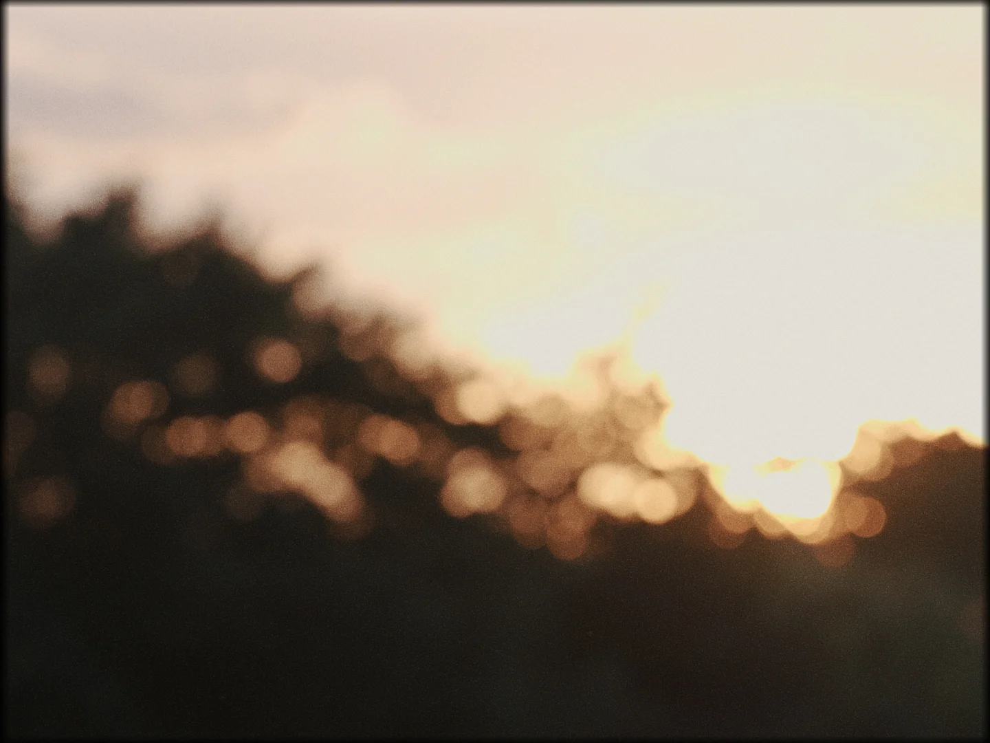 VER.2.0 .00_04_05_14.Still009.jpg