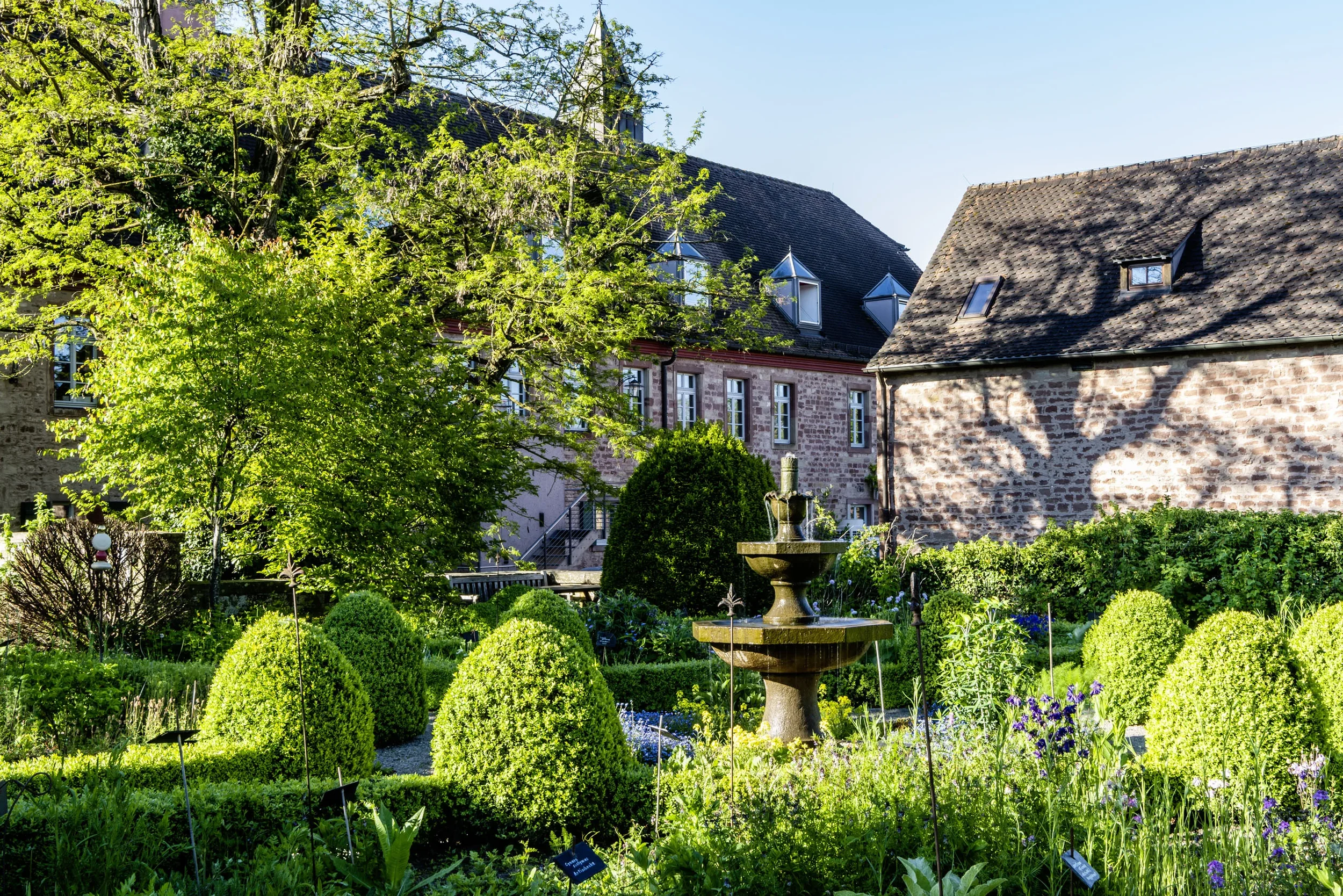 Kloster Hornbach Nijenhuis Traumatherapie seminar.webp