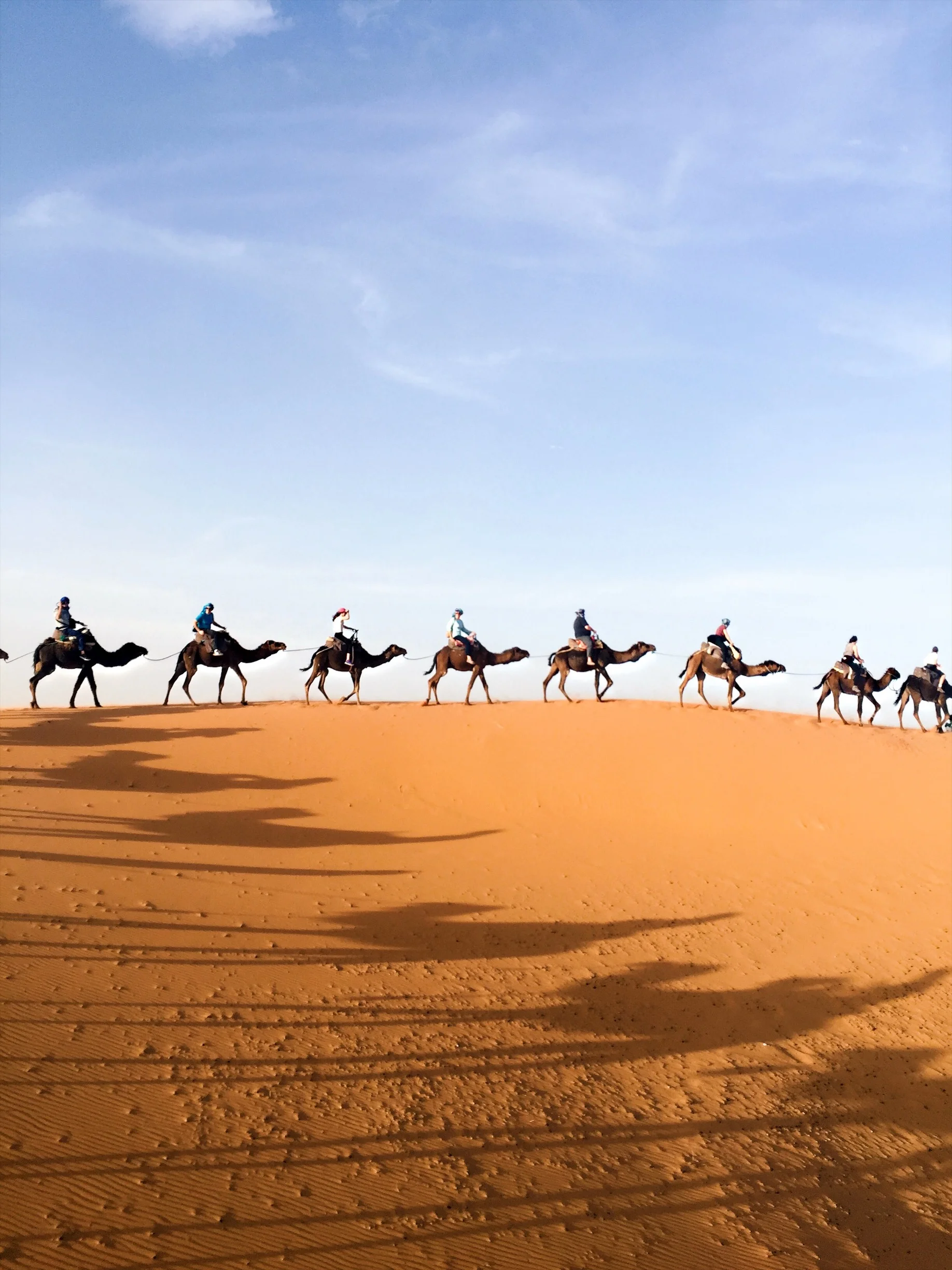 The Sahara Desert