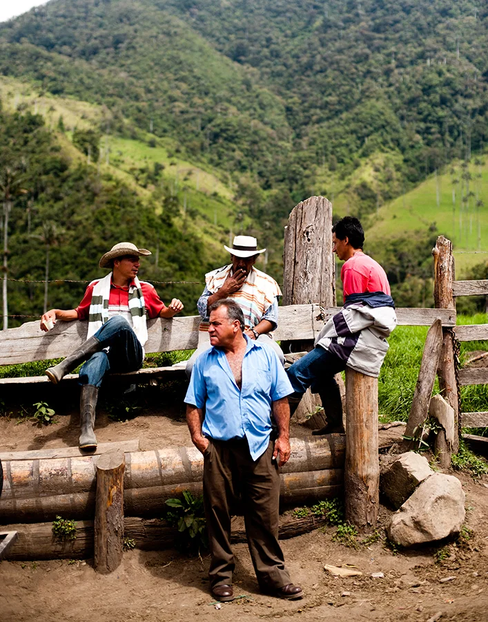 2010_Colom_D3_-1611_o.jpg