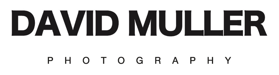 David Muller Headshot Photographer
