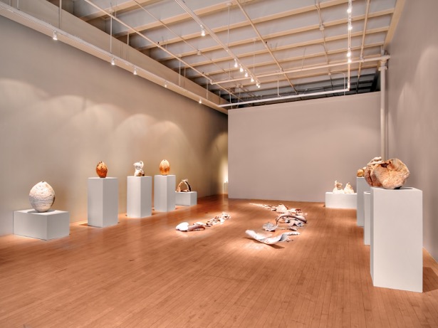 Installation view Catherine Person Gallery, Seattle Solo show, Strata 2008 Shorelife/Ebbtide center and other works