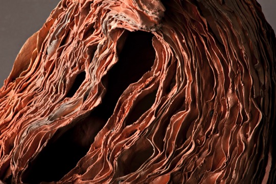 Bristling Red Lunita , detail
