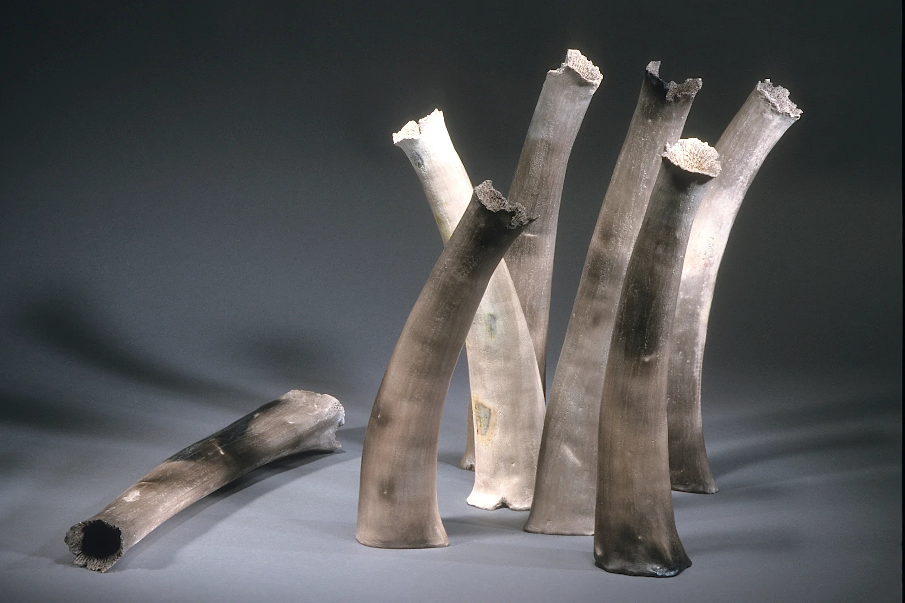 Witness , 1999 clay, kiln- and pit-fired variable, tallest 22” h.