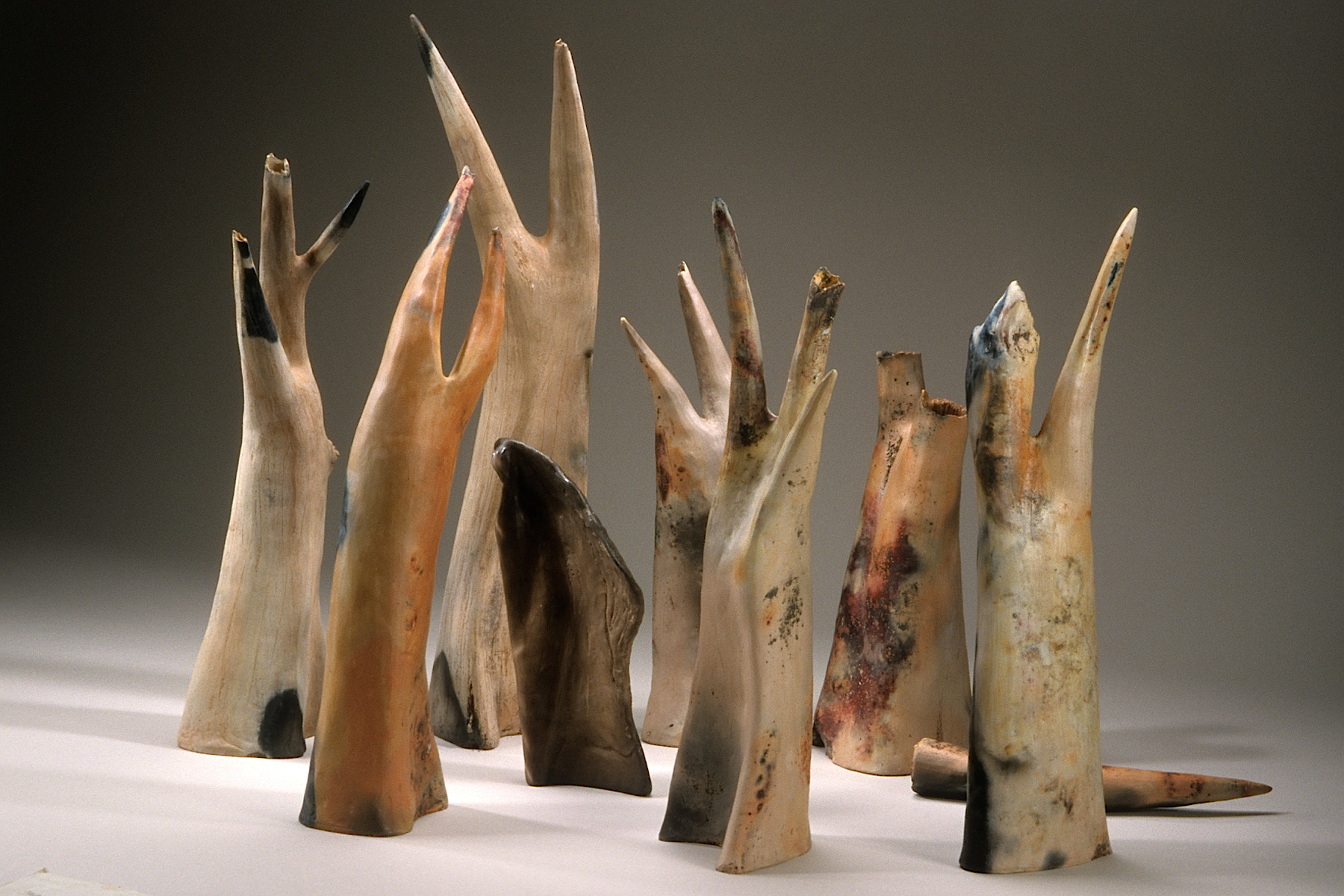       In the Forest,  2000    clay,&nbsp; kiln- and pit-fired    variable, tallest 28” h. &nbsp;   