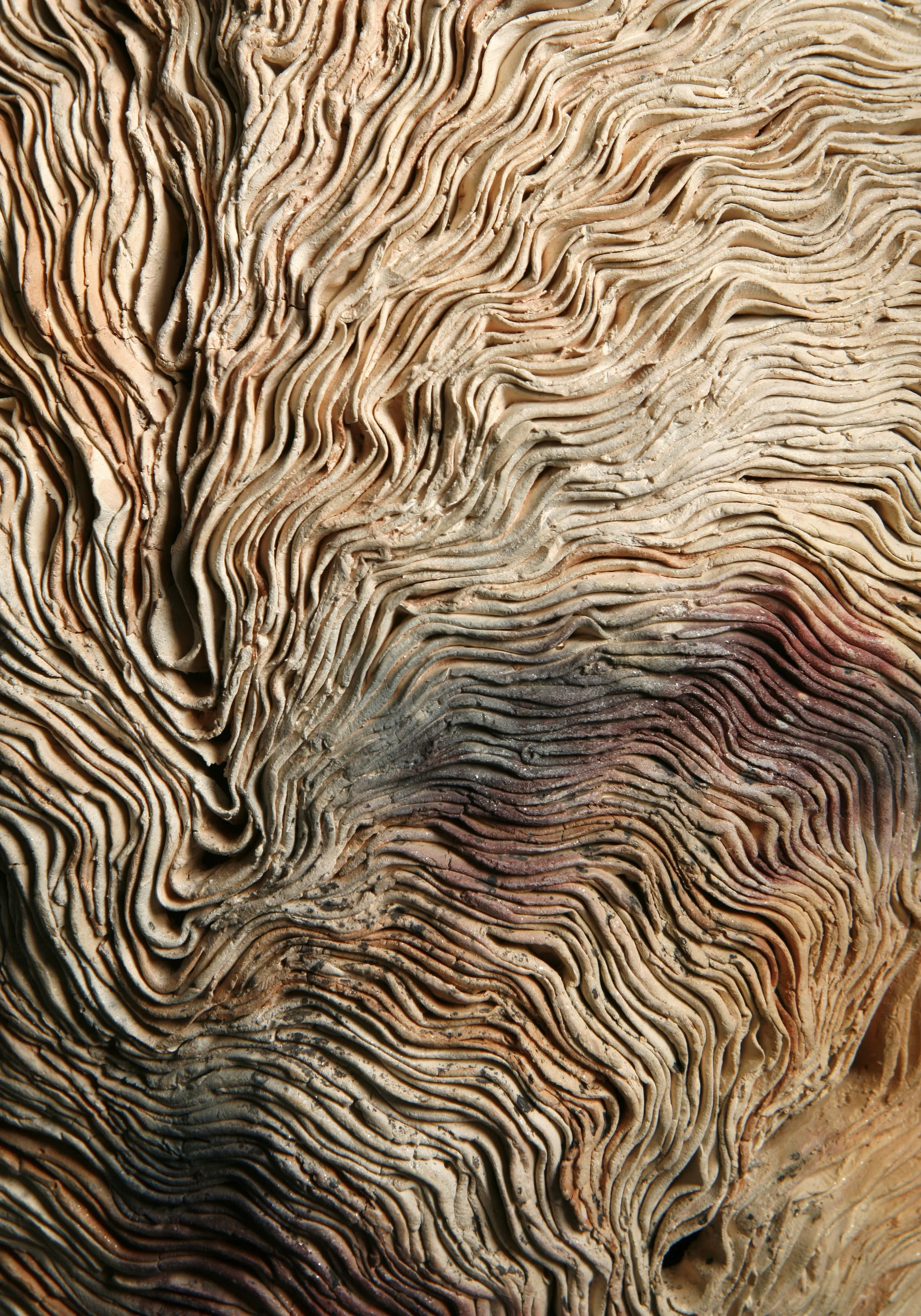Becoming Mist, detail