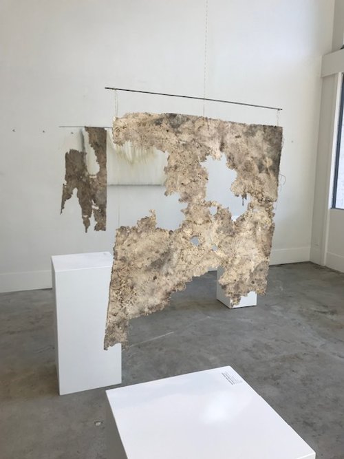  Installation view,   Fieldwork / Mending 3 and  4   Perry and Carlson Gallery, Mt. Vernon, WA, 2019 