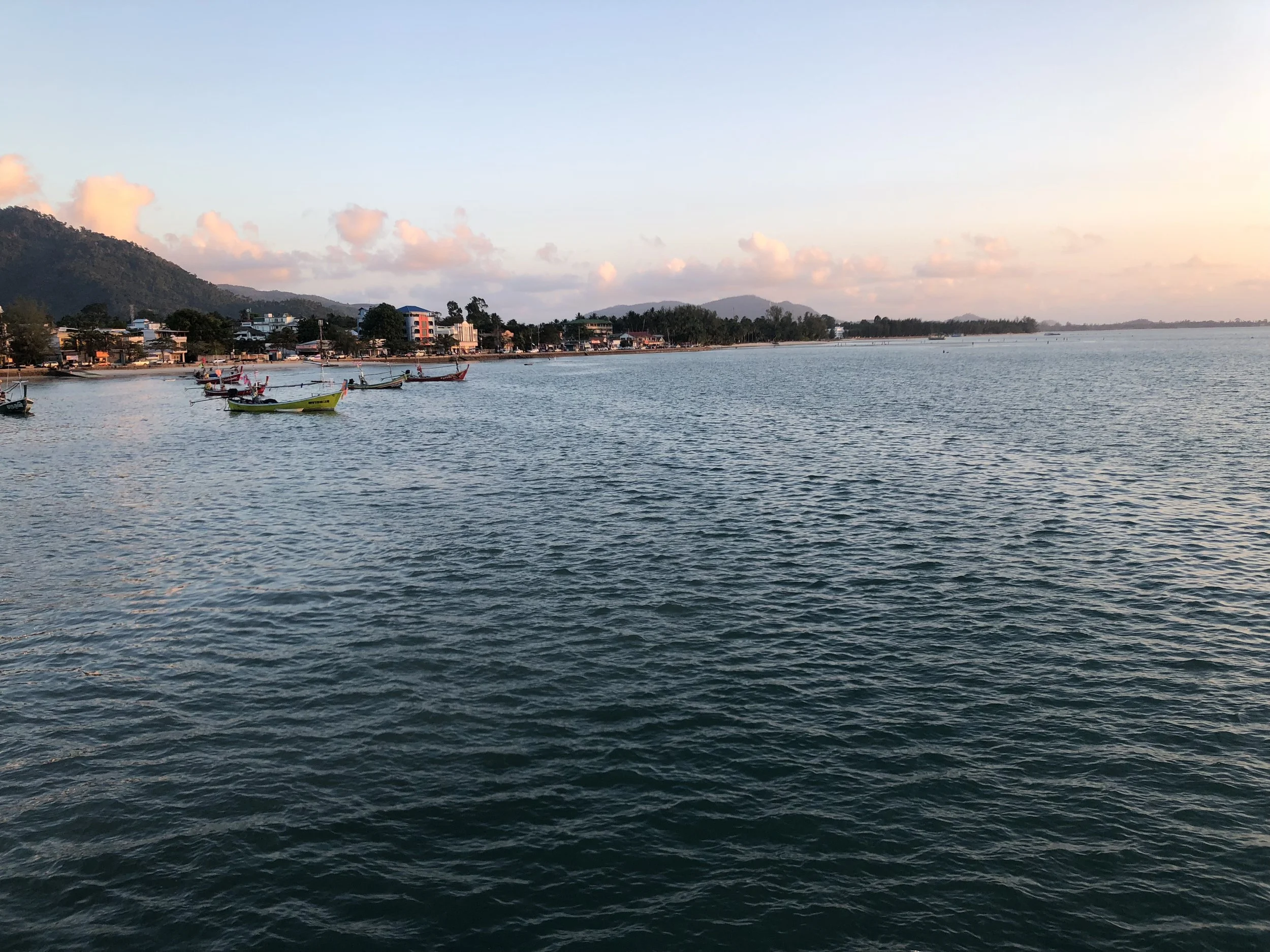IMG_2419.jpeg