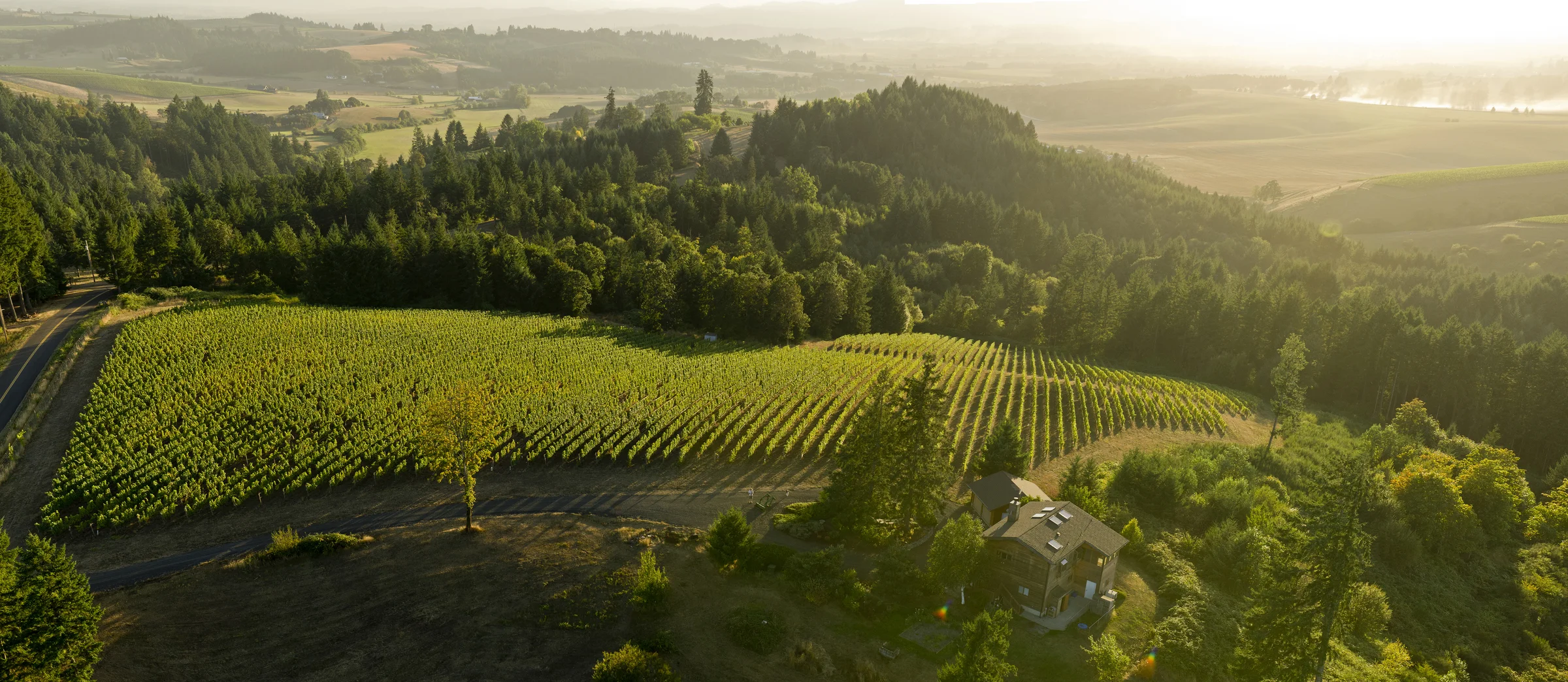 GLORIOUS TO VIEW: An aerial view of Hilary and Chris Berg's vineyard in Yamhill, Oregon, in the Willamette Valley. Photo courtesy of Andrea Johnson.